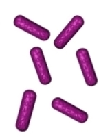gram negative rods